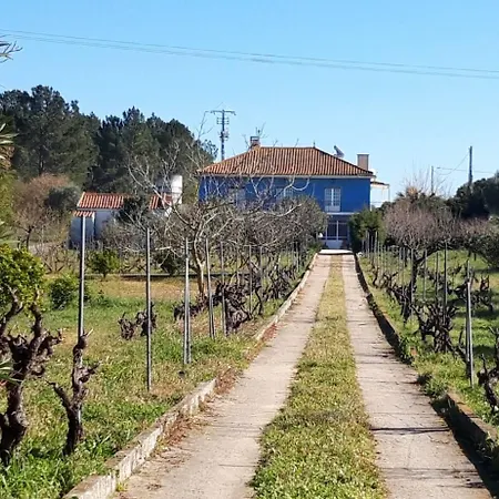 Casa Azul Prive Holiday home Tomar